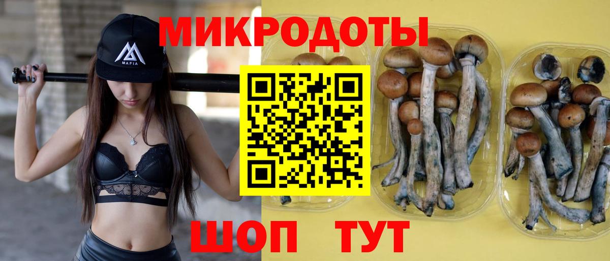 Псилоцибиновые грибы прущие грибы  Вход с VPN  Уфа  что такое   Псилоцибиновые грибы мицелий 